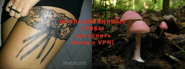 a pvp Аркадак