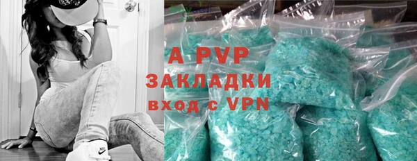 a pvp Аркадак